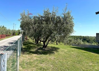 Giardino - Villa C.da Ritiro, Orsogna - photo 17