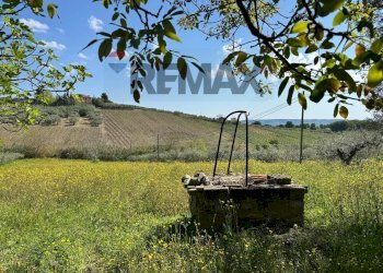 Giardino - Rustic C.da Rosciavizza, Mozzagrogna - photo 9