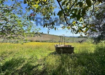 Giardino - Rustic C.da Rosciavizza, Mozzagrogna - photo 10