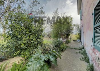 Giardino - Semi-detached house contrada Sabatiniello
 
8, Tollo - photo 25