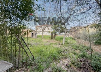 Giardino - Semi-detached house contrada Sabatiniello
 
8, Tollo - photo 29