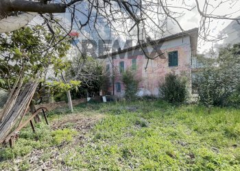 Giardino - Semi-detached house contrada Sabatiniello
 
8, Tollo - photo 30