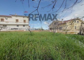Giardino - Semi-detached house contrada Sabatiniello
 
8, Tollo - photo 37