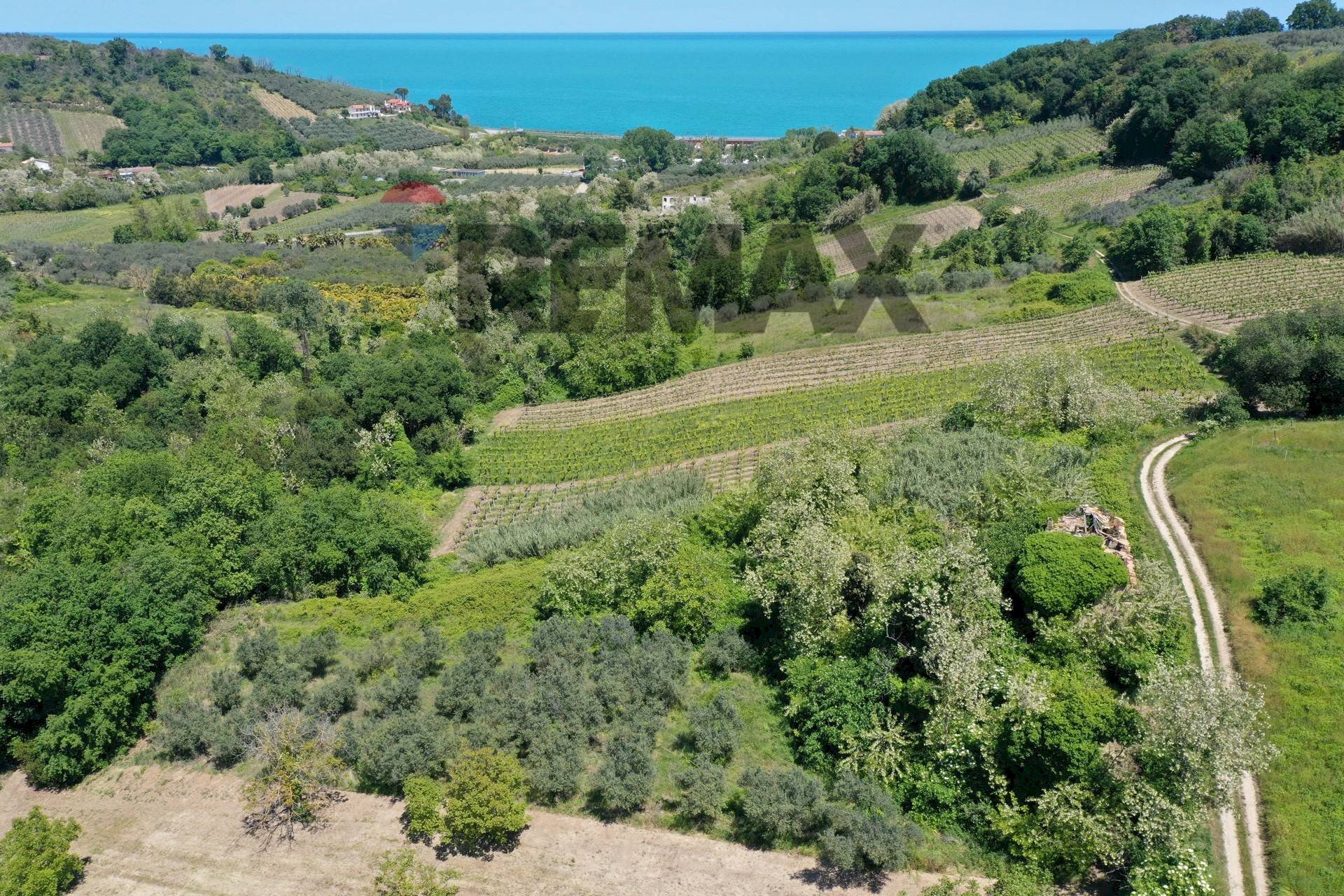Vista delle montagne - Rustico Contrada Coste del Molino, Rocca San Giovanni - foto 1