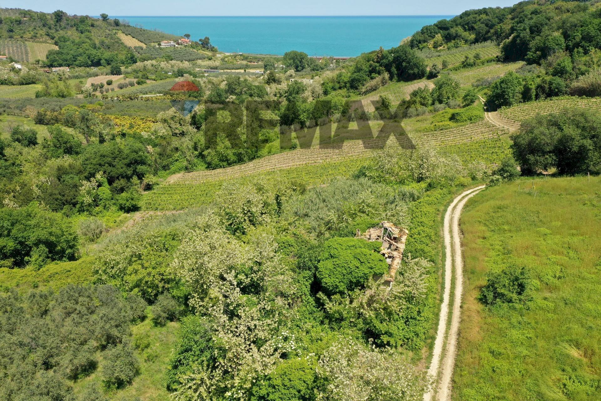Vista delle montagne - Rustico Contrada Coste del Molino, Rocca San Giovanni - foto 3