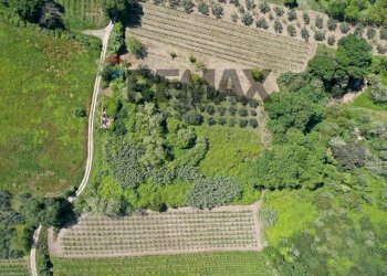 Posizione della mappa - Rustico Contrada Coste del Molino, Rocca San Giovanni - foto 6