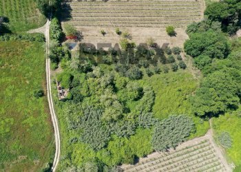 Posizione della mappa - Rustico Contrada Coste del Molino, Rocca San Giovanni - foto 7
