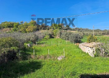 Vista delle montagne - Semi-detached house Contrada Palude
 
40/2, Torino di Sangro - photo 57