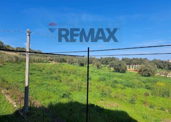 Giardino - Semi-detached house Contrada Palude
 
40/2, Torino di Sangro - photo 59