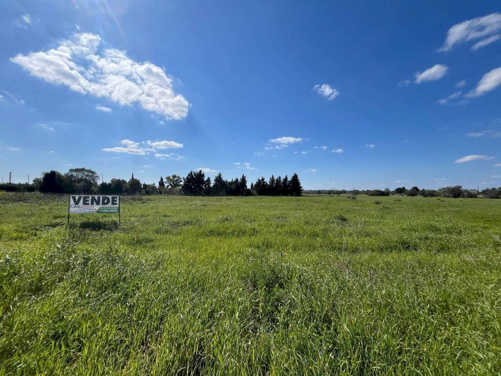 Terreno - Building land SP223, Gallipoli - photo 1