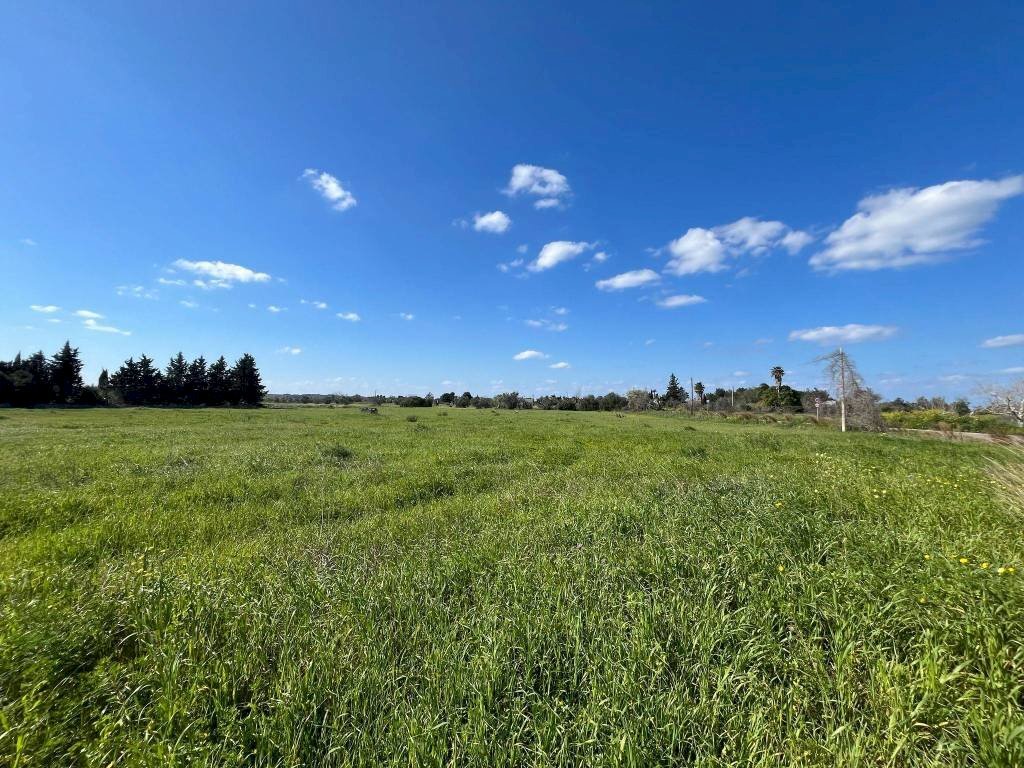 Terreno - Building land SP223, Gallipoli - photo 3