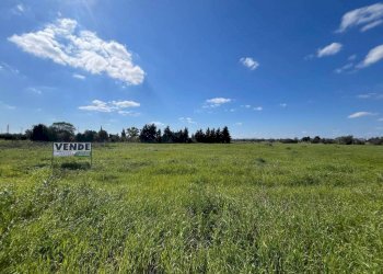 Terreno - Building land SP223, Gallipoli - photo 1