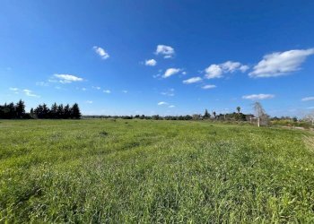 Terreno - Building land SP223, Gallipoli - photo 3
