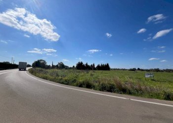 Zona - Building land SP223, Gallipoli - photo 5