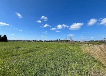 Terreno - Building land SP223, Gallipoli - photo 6