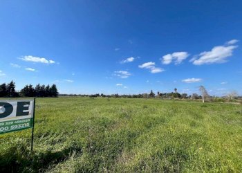 Terreno - Building land SP223, Gallipoli - photo 9