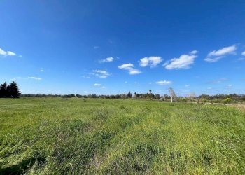 Terreno - Building land SP223, Gallipoli - photo 10