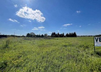 Terreno - Building land SP223, Gallipoli - photo 11