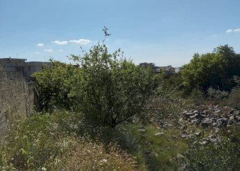 Terreno - Building land via Marco Polo, Casarano - photo 14