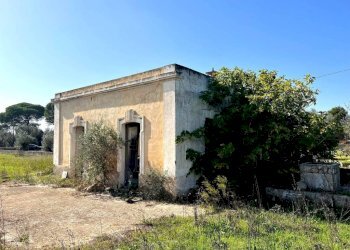 Terreno - Casa indipendente strada Vicinale Bon-Amì, Matino - foto 3