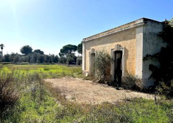 Terreno - Casa indipendente strada Vicinale Bon-Amì, Matino - foto 4