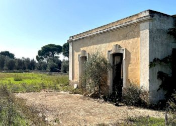 Terreno - Casa indipendente strada Vicinale Bon-Amì, Matino - foto 5