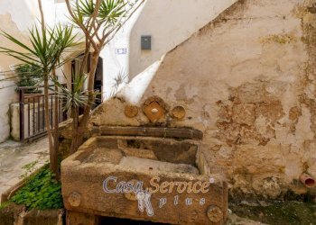 Giardino - Two-room apartment via Giuseppe Ribera, Gallipoli - photo 2
