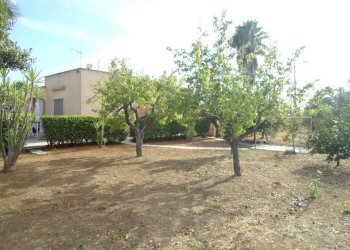 Giardino - Villa strada Vicinale Saline, Matino - photo 3