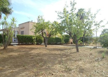 Terreno - Villa strada Vicinale Saline, Matino - photo 4