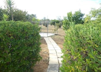 Giardino - Villa strada Vicinale Saline, Matino - photo 5