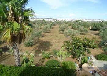 Vista - Villa strada Vicinale Saline, Matino - photo 7
