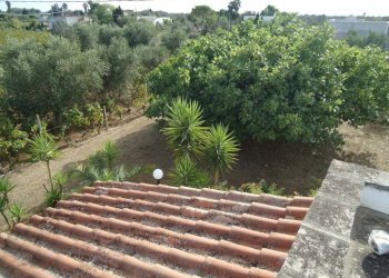 Vista - Villa strada Vicinale Saline, Matino - photo 10