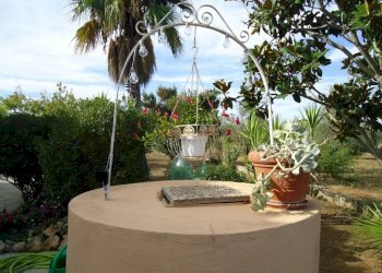 Giardino - Villa strada Vicinale Saline, Matino - photo 11
