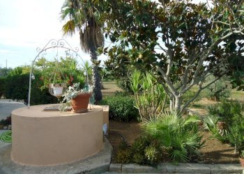 Giardino - Villa strada Vicinale Saline, Matino - photo 12