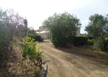 Terreno - Villa strada Vicinale Saline, Matino - photo 13