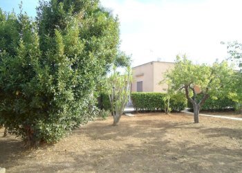 Giardino - Villa strada Vicinale Saline, Matino - photo 17