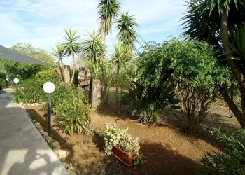 Giardino - Villa strada Vicinale Saline, Matino - photo 36