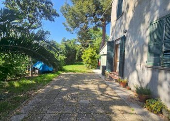 Giardino - Rustico strada Madonna del Monte, Pesaro - foto 22