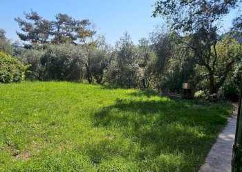 Giardino - Rustico strada Madonna del Monte, Pesaro - foto 33