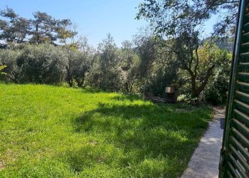 Giardino - Rustic strada Madonna del Monte, Pesaro - photo 34