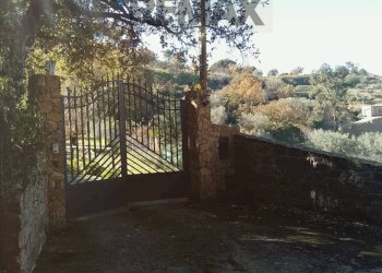 Giardino - Villa Contrada Piano Cannata
 
snc, Piazza Armerina - foto 5