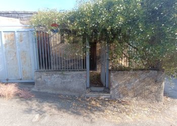 Giardino - Rustico Via Sgroppillo
268, Catania - foto 8