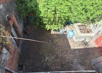 Giardino - Semi-detached house Via Etnea
 
87-89, Mascalucia - photo 13