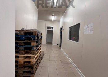 Hall / corridoio - Commercial Premises Contrada Vallenuccio/C.da Sasi
 
snc, Alcamo - photo 74