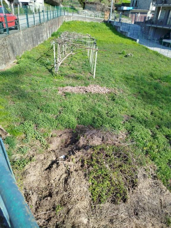 Terreno - Terreno edificabile Frazione Mossini, 4, Sondrio - foto 3