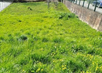Terreno - Terreno edificabile Frazione Mossini, 4, Sondrio - foto 2