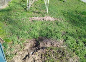 Terreno - Terreno edificabile Frazione Mossini, 4, Sondrio - foto 3