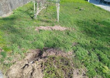 Terreno - Terreno edificabile Frazione Mossini, 4, Sondrio - foto 5
