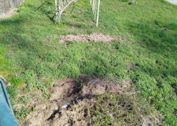 Terreno - Terreno edificabile Frazione Mossini, 4, Sondrio - foto 8