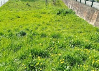 Terreno - Terreno edificabile Frazione Mossini, 4, Sondrio - foto 9